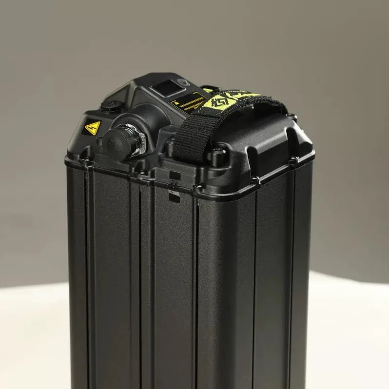 light-bee-s-lithium-battery-48v20ah-639027_798x798