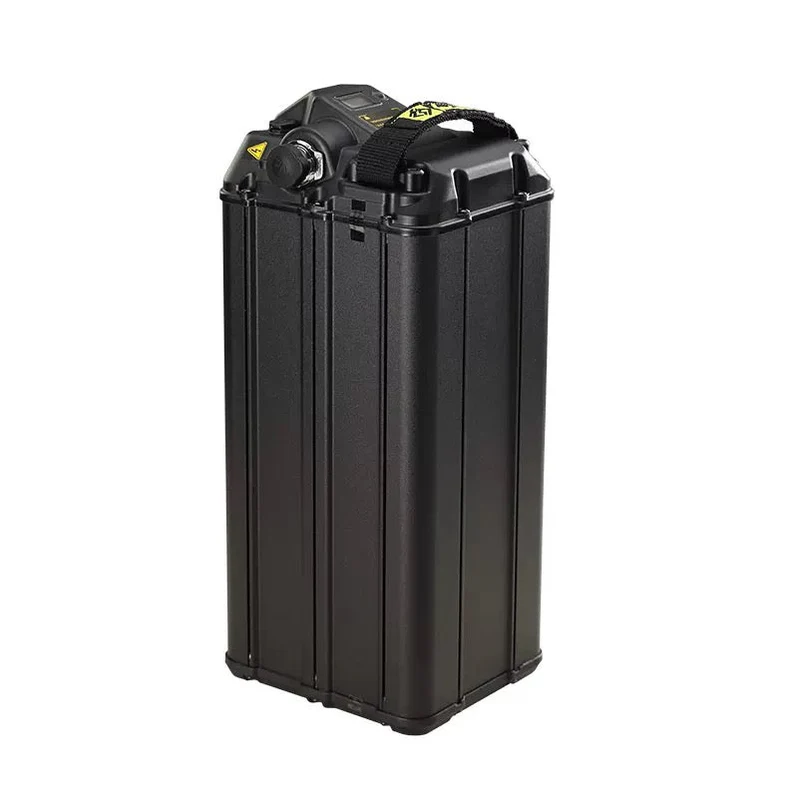 light-bee-s-lithium-battery-48v20ah-851993_798x798
